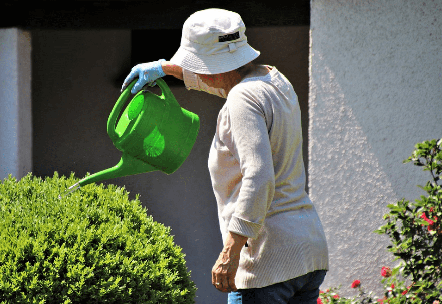 old woman watering her garden