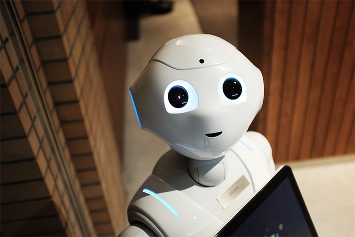 humanlike robot