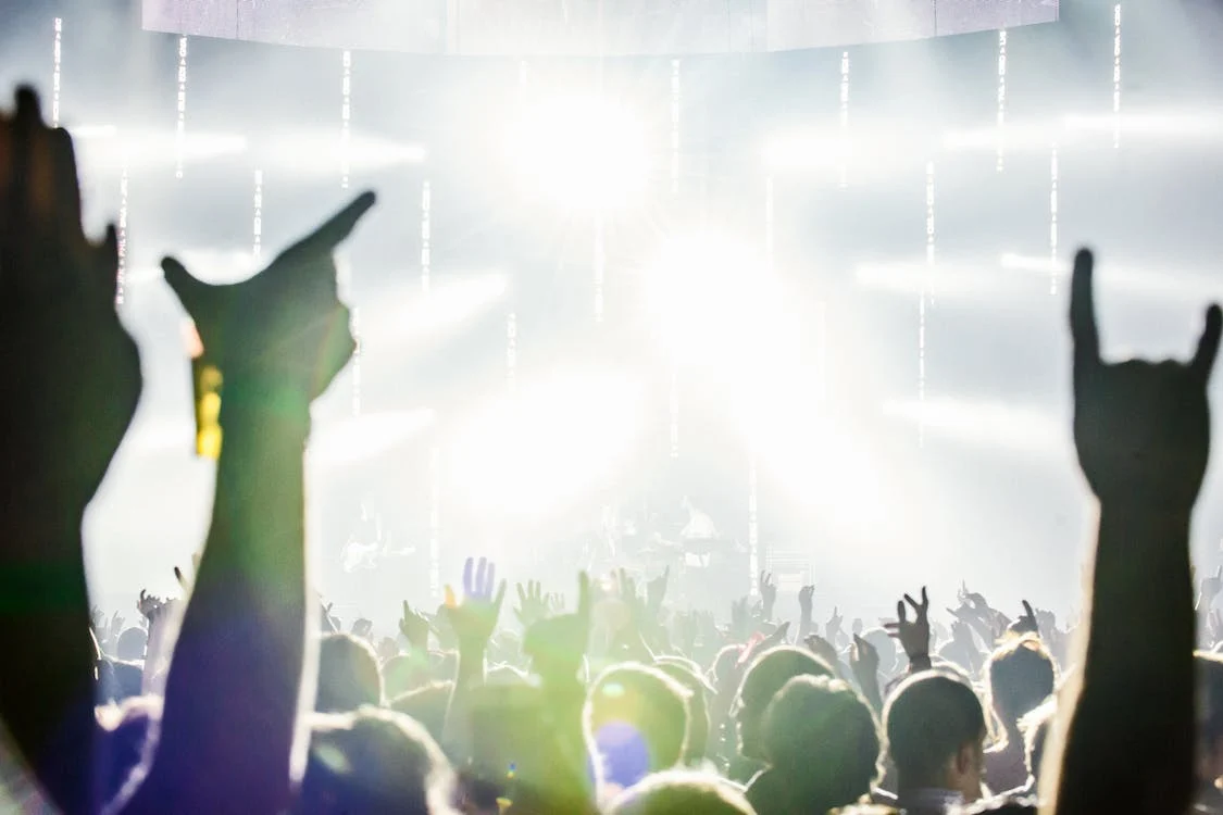 people attending a rock and roll concert