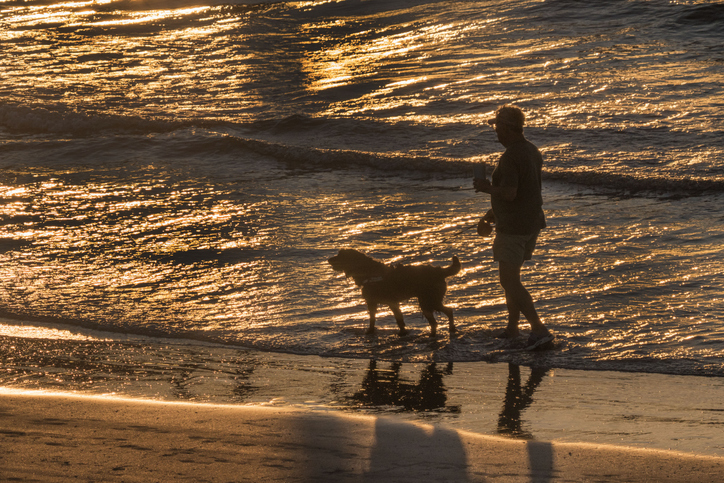 a mature man walking a dog on a beach