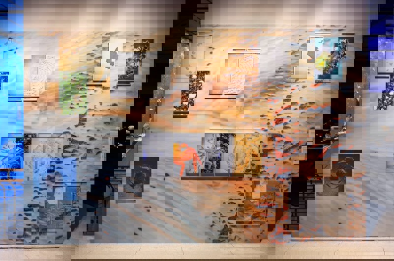 Houston Museums with Senior Discounts and Wheelchair Access